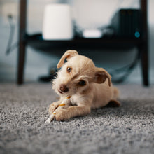 Load image into Gallery viewer, Chicago New Grey Rug - Rug Guru