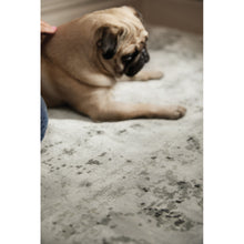 Load image into Gallery viewer, Persia Fossil/Cloud Rug - Rug Guru