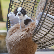 Load image into Gallery viewer, Sheepskin - Mink