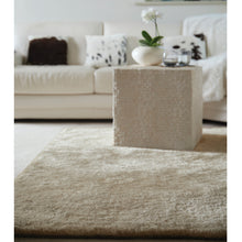 Load image into Gallery viewer, Shimmer - Champagne