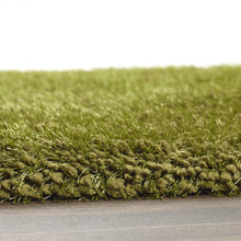 Load image into Gallery viewer, Chicago - Olive