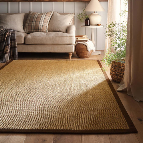 Origins Sisal Warm Natural with Dark Brown Border- a natural rug made from 100% sisal featuring a brown border.