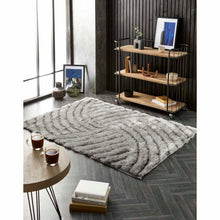 Load image into Gallery viewer, Dallas - Silver
