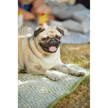 Load image into Gallery viewer, Diamond Washable Rug Green
