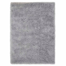 Load image into Gallery viewer, Ritzy - Silver
