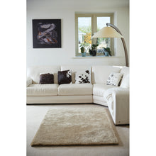 Load image into Gallery viewer, Shimmer - Champagne
